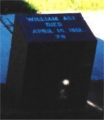 Mr William ALI