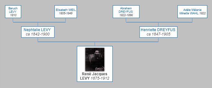 Mr Ren Jacques LVY