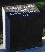 Mr Ernest PRICE